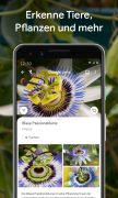 Google Lens для Android