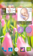 Календарь беременности для Android